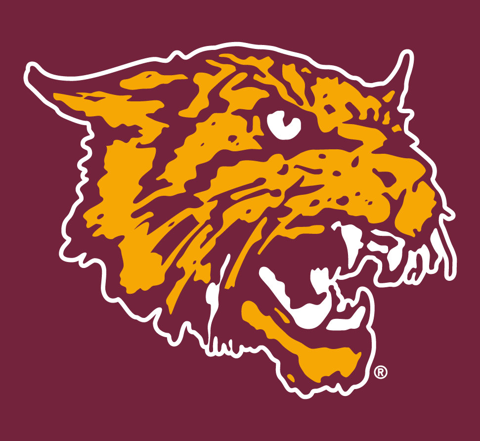 Bethune-Cookman Wildcats 2000-2015 Alternate Logo diy iron on heat transfer